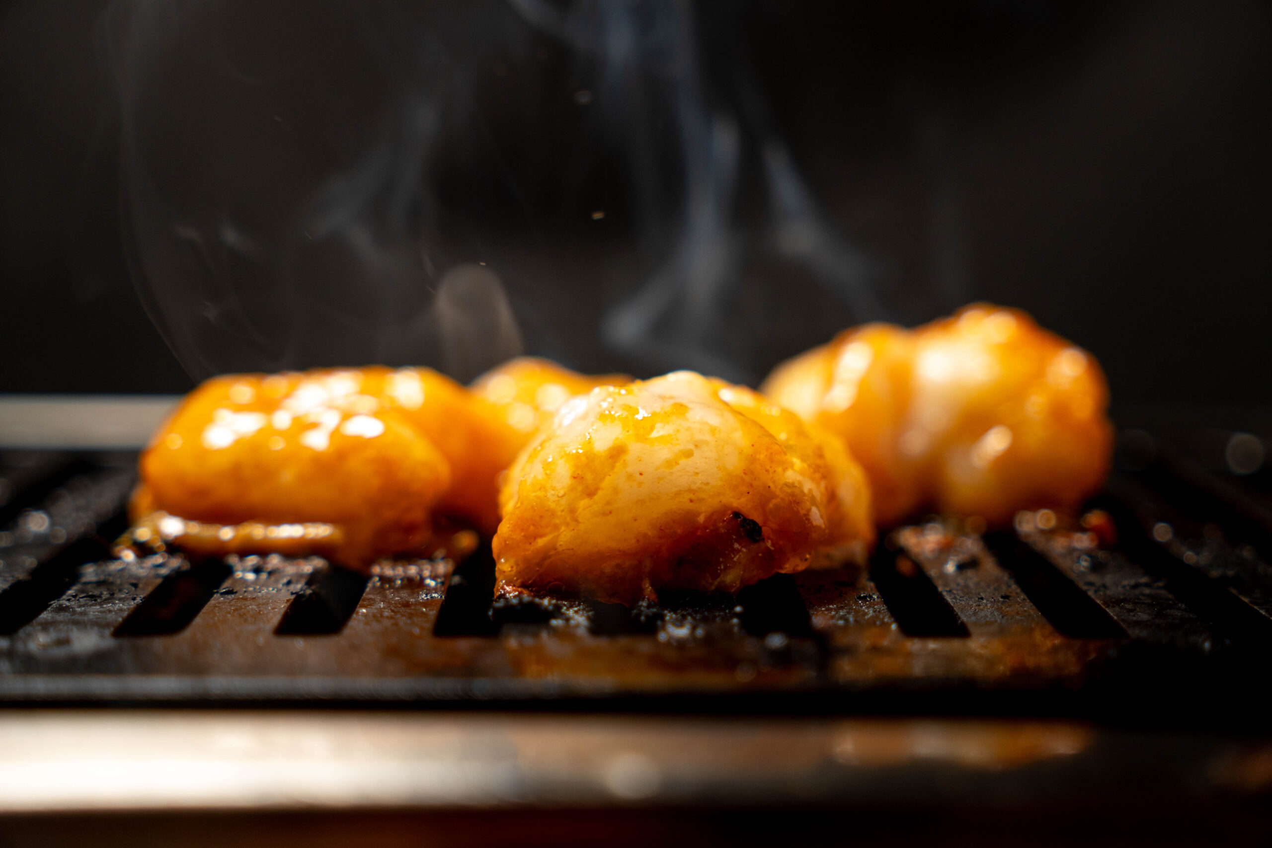 飲食店のWEBサイト用に撮影したホルモン焼きの商業写真。福井県福井市を拠点に売上に直結するシズル感溢れるフード撮影を提供。